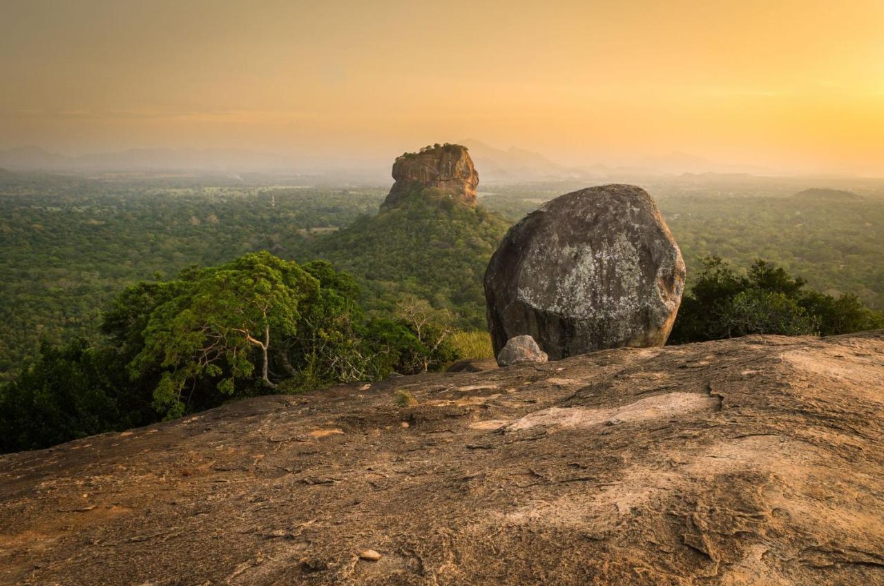 Sigiri Mango Garden Eco Resort Sigiriya Exterior photo