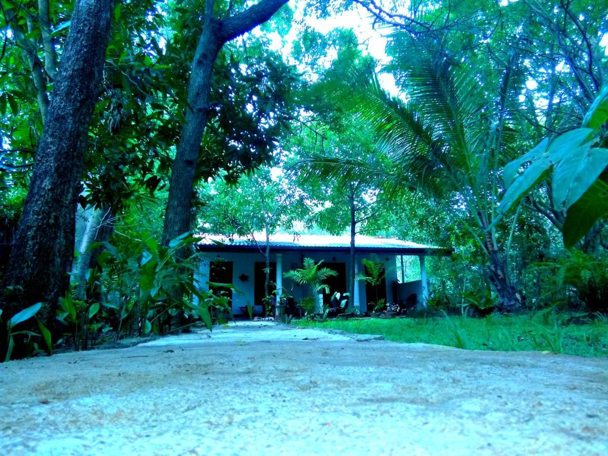 Sigiri Mango Garden Eco Resort Sigiriya Exterior photo